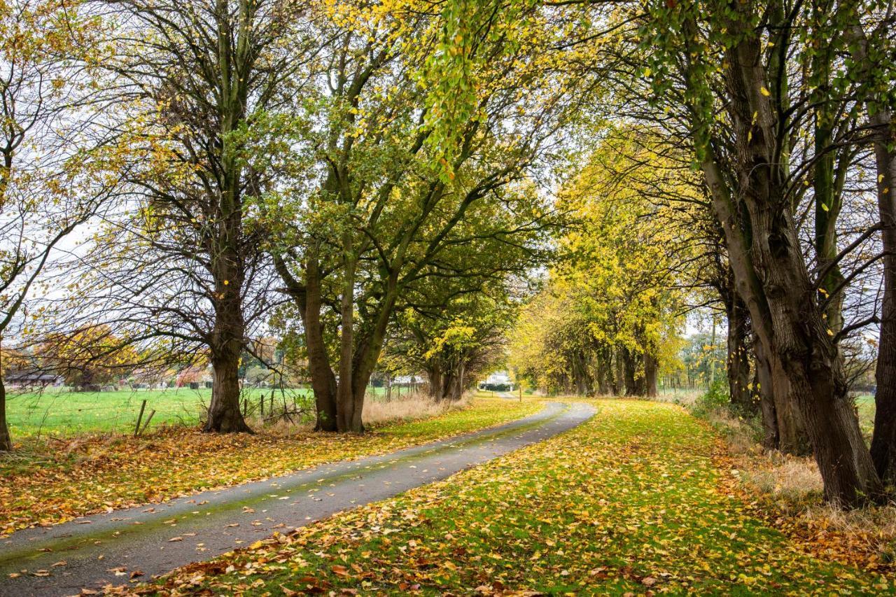 Yha Chester Trafford Hall Dunham-on-the-Hill Экстерьер фото